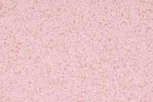 Линолеум Gerflor Mipolam Affinity 4481 Rosaspina фото  | FLOORDEALER